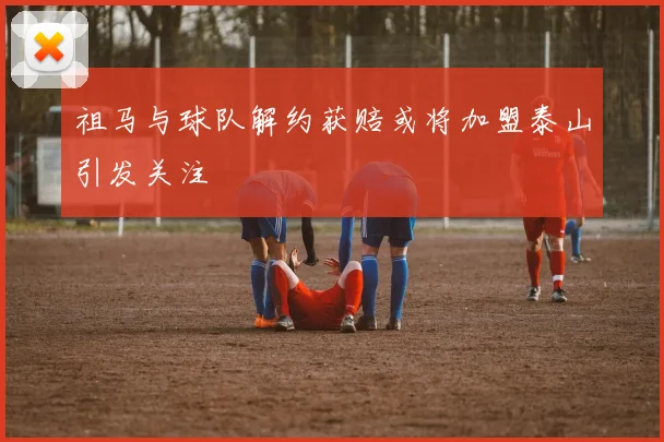 祖马与球队解约获赔或将加盟泰山引发关注
